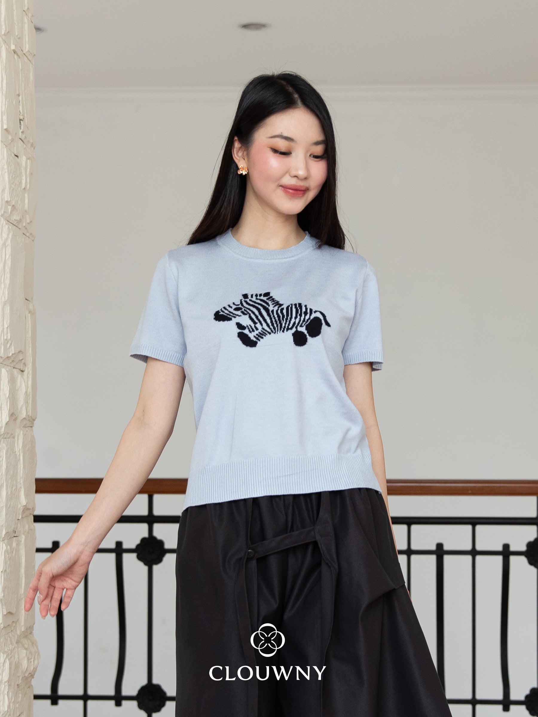 Zebra Knit Top - Blue
